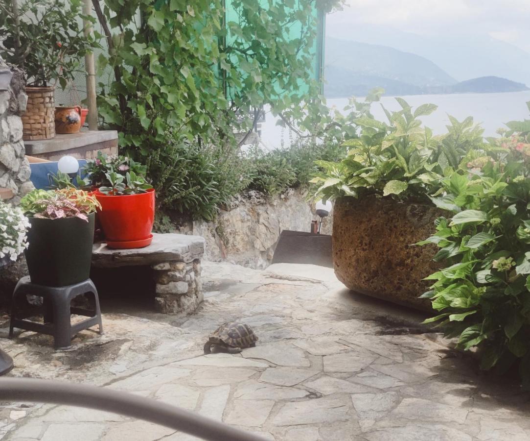 Villa Malezan Ohrid Luaran gambar